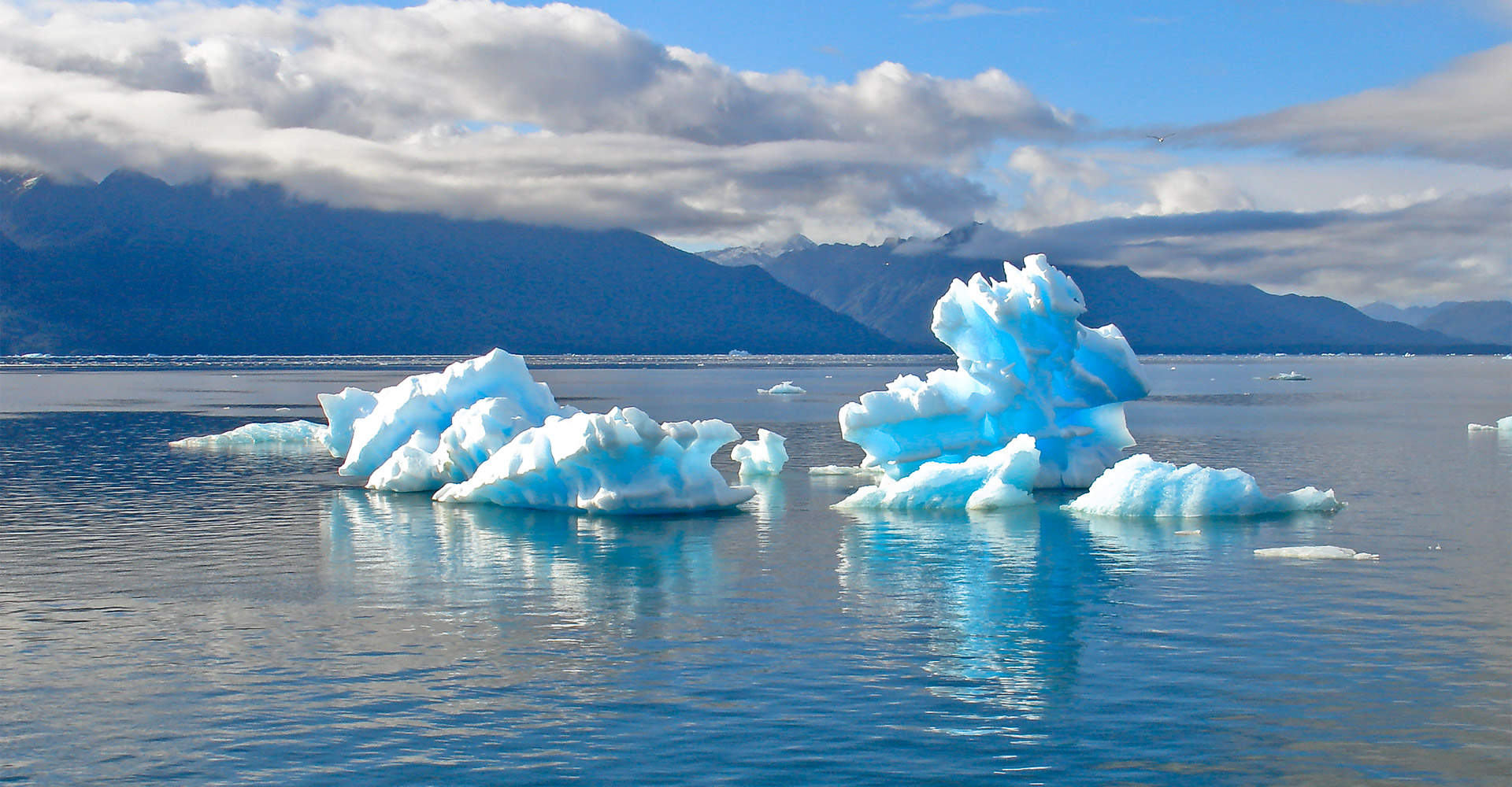Чиста вода - життя в кожній краплині